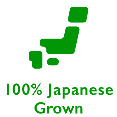 Safety point icon 1